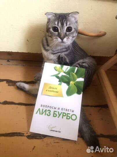 2 книги: игра на гитаре и «Деньги и изобилие»