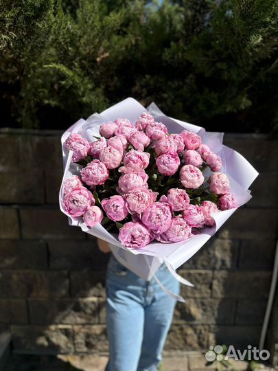 Пион сара бернар