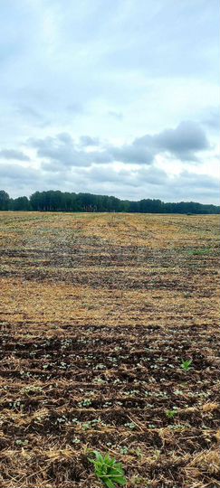 Участок 11,2 га (СНТ, ДНП)