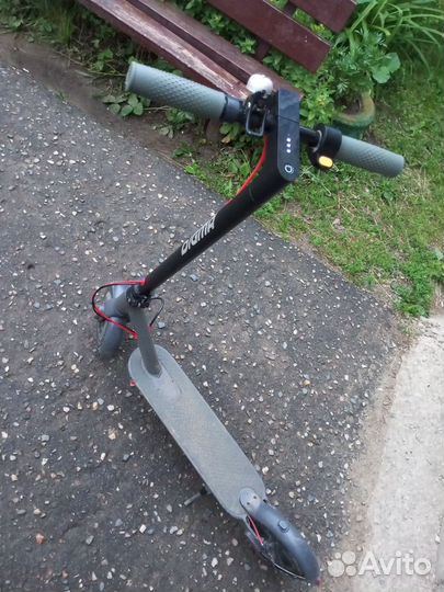 Самокат взрослый
