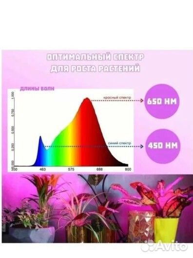 Фитолампа для растений полный спектр