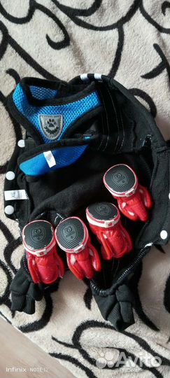 Одежда для собак мелких пород