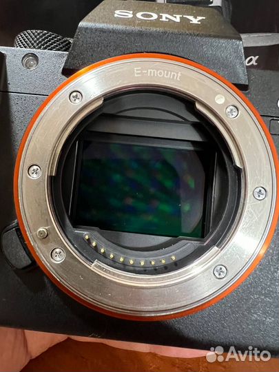 Sony a7iii + sony 28-70mm