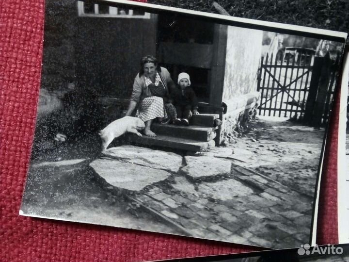 Фото «человек друг поросёнка» 1955/65 год ссср/9шт