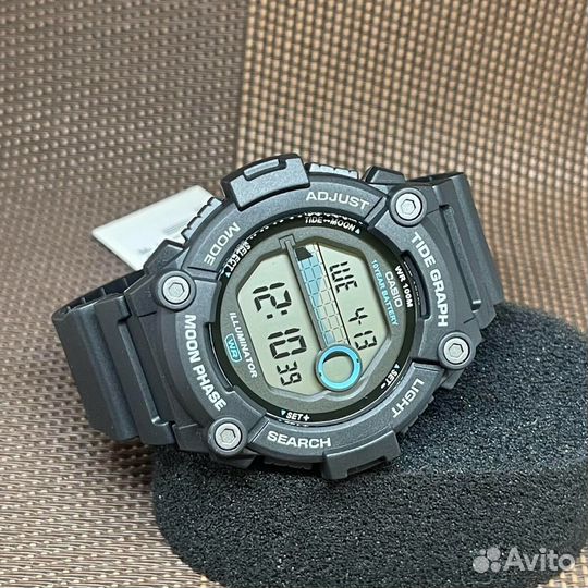 Оригинальные часы Casio Collection WS-1300H-1A