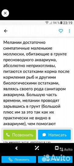 Улитка милания