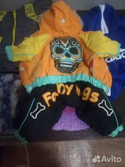 Одежда для мелких пород собак