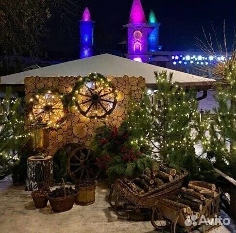 Тур Мержаново+дельфинарий+ Лога