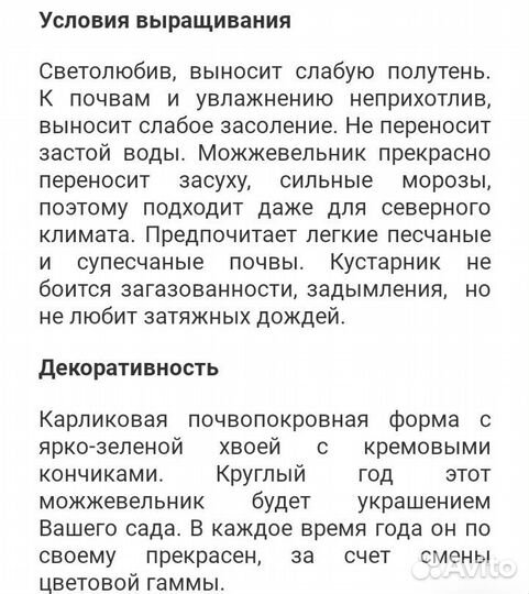 Можжевельник экспанса вариегата