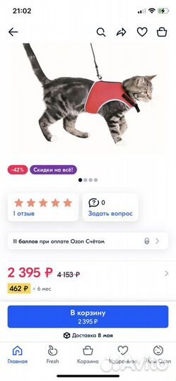 Шлейка поводок для кошки новая