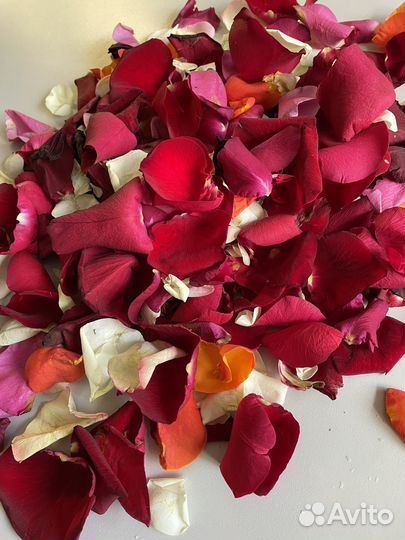 Лепестки роз
