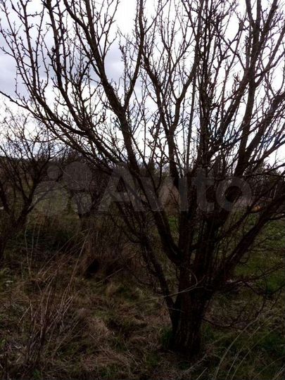 Участок 20 сот. (ИЖС)