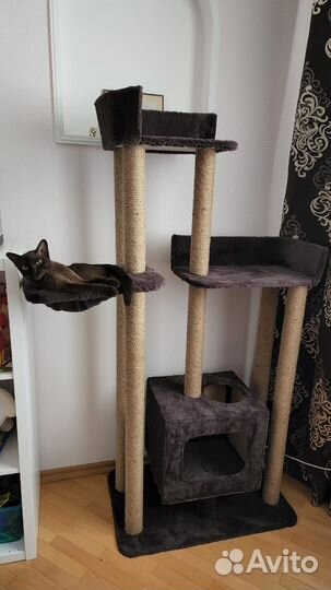 Когтеточка для кошек