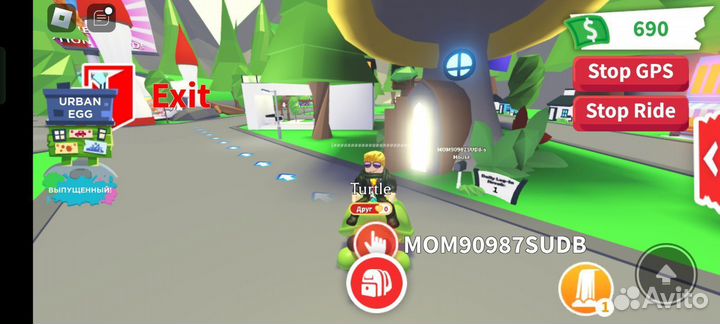 Черепаха адопт ми