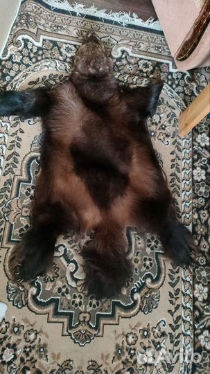 Шкура росомахи