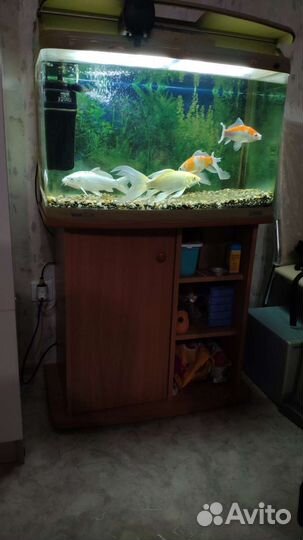 Аквариум Jebo r375 с тумбой