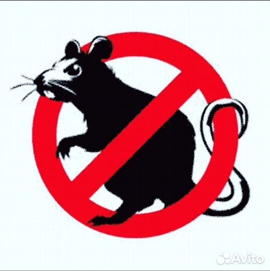 Уничтожение клопов и тараканов
