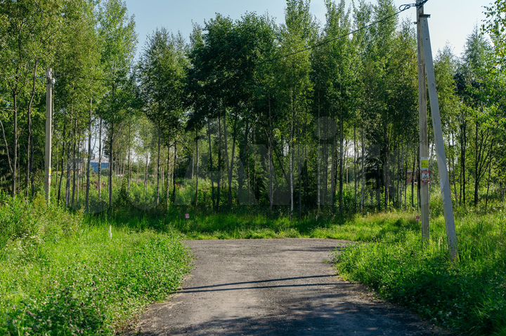 Участок 11 сот. (СНТ, ДНП)