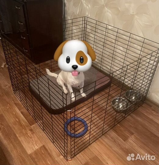 Клетка- вольер