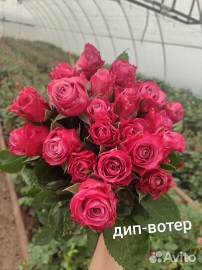 Цветы(розы) опт
