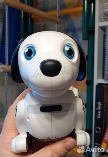 Собака робот Дэкел джуниор