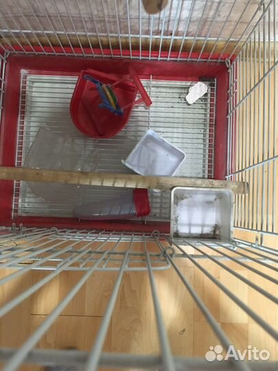 Клетка для попугая