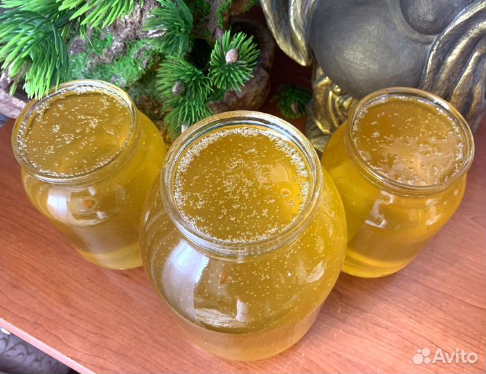 Донниковый мед (сбор 2023)