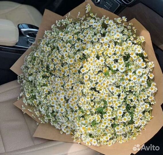 Супер огромный букет ромашек с WOW эффектом