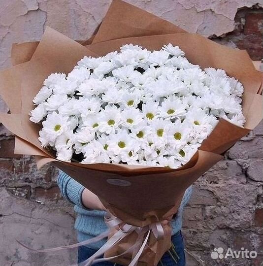 Хризантема