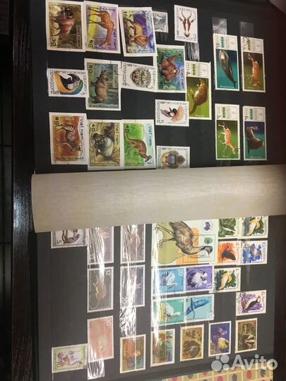 Почтовые марки фауна времён СССР