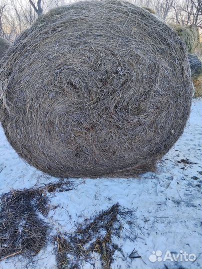 Сено в рулонах