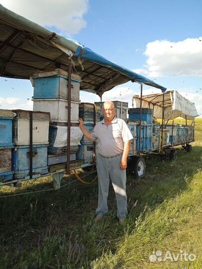 Товары для пчеловодства