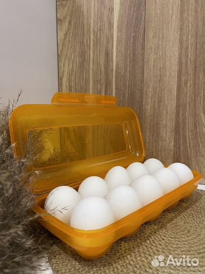 Домашние куриные яйца