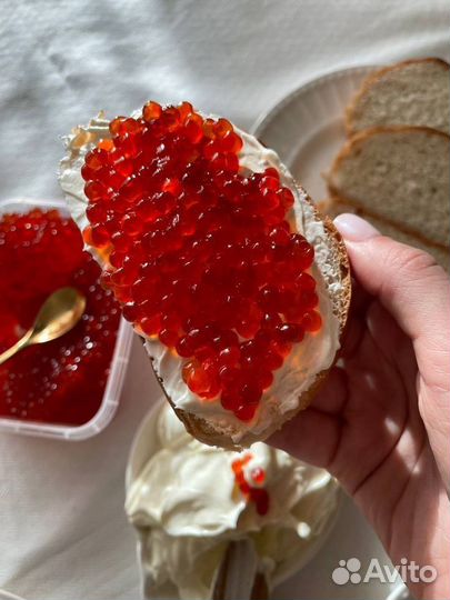 Красная икра 2023