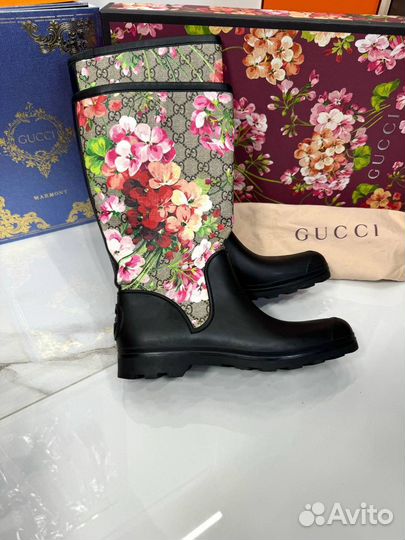 Сапоги gucci оригинал