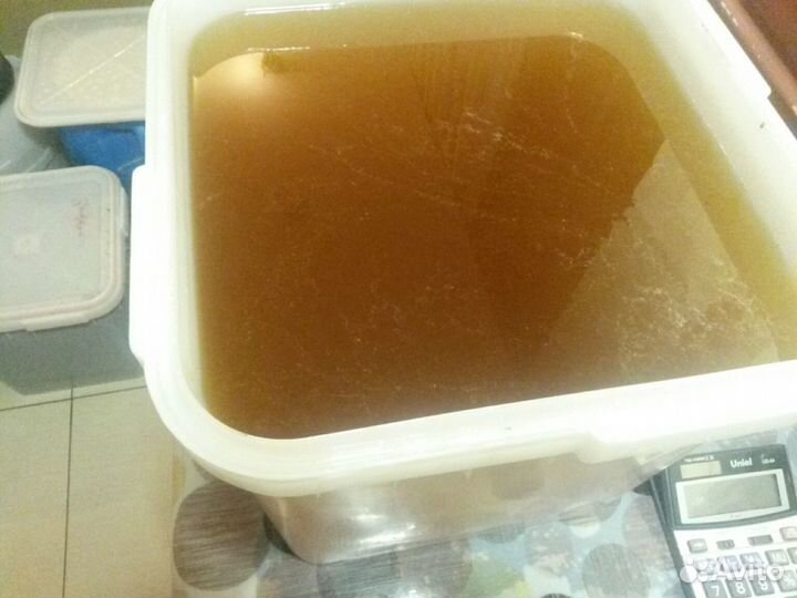 Продам липовый мёд