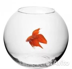 Круглый аквариум 1-13л