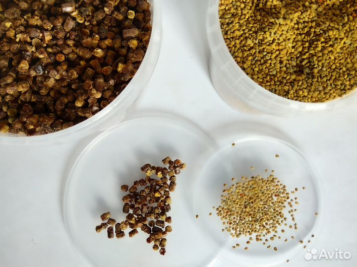 Свежие 2023г Пчелопродукты : Пыльца/Перга/Прополис