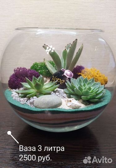 Флорариум (растения)