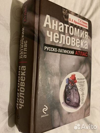 Анатомия человека