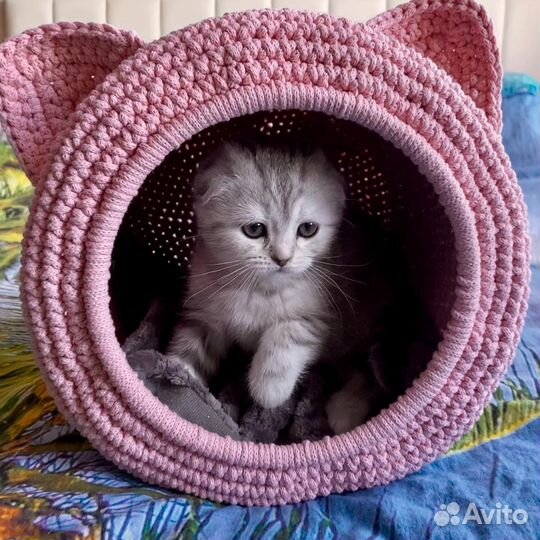 Домик для кошки из дерева и ковролина с лежаком