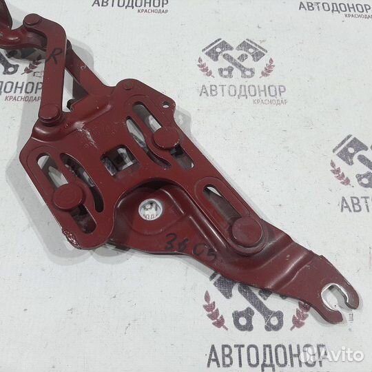 Петля капота правая Bmw X6 E71 N54 2008