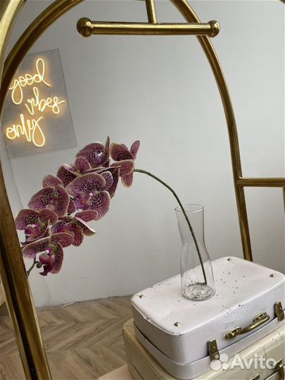 Орхидеи, цветочные композиции, украшение квартиры