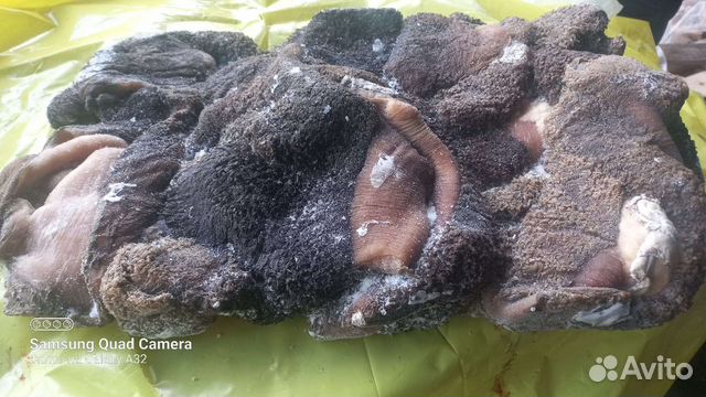 Рубец. Требух говяжий неочищенный. Корм для собак