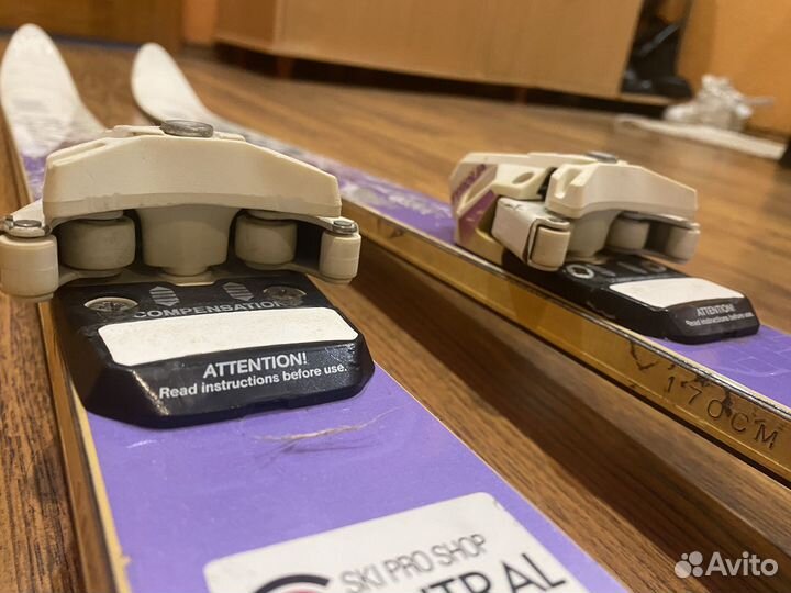 Горные лыжи