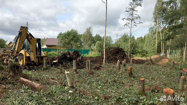 Расчистка участка