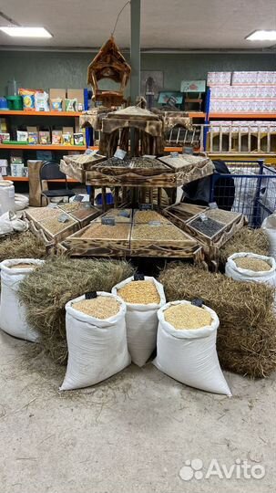 Кукуруза классная опт и розница