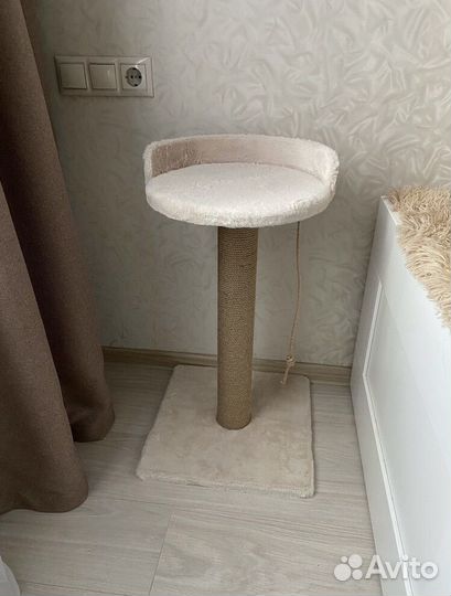 Когтеточка