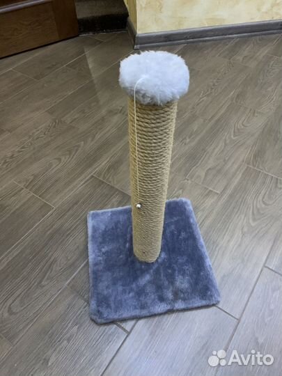 Когтеточка