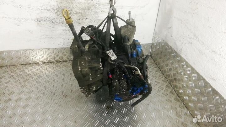 Акпп/вариатор/робот Ford Focus/Focus RS